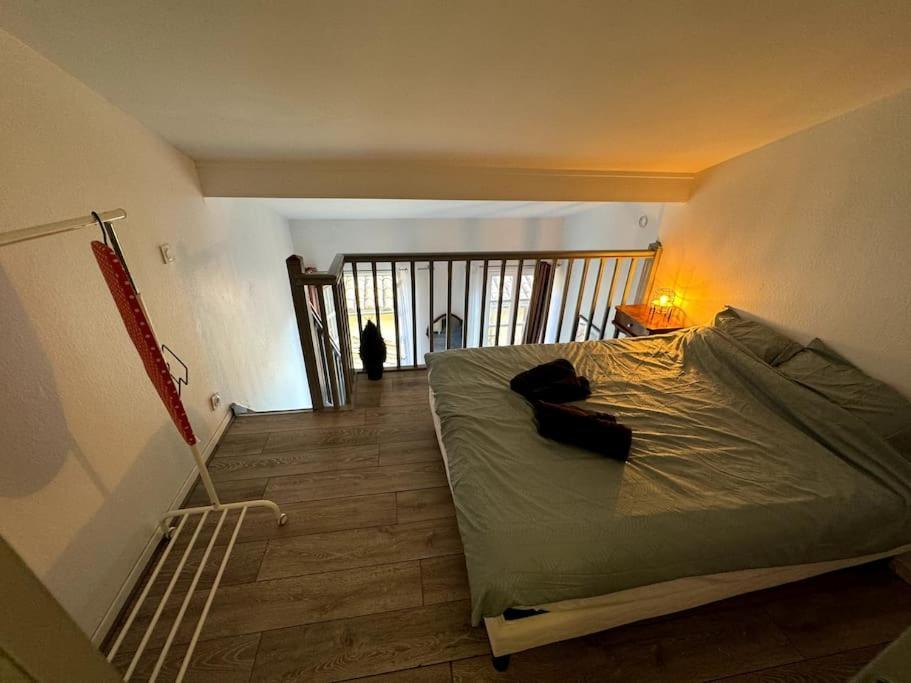 Centre Toulouse - Gare Matabiau - Grand Duplex Appartement Buitenkant foto